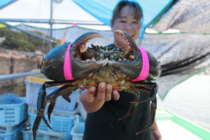 日記 5 水の生き物カメラマン 松沢陽士の魚ときどき亀日記