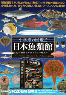 新刊のご案内 小学館の図鑑Z「日本魚類館」～精緻な写真と詳しい解説 